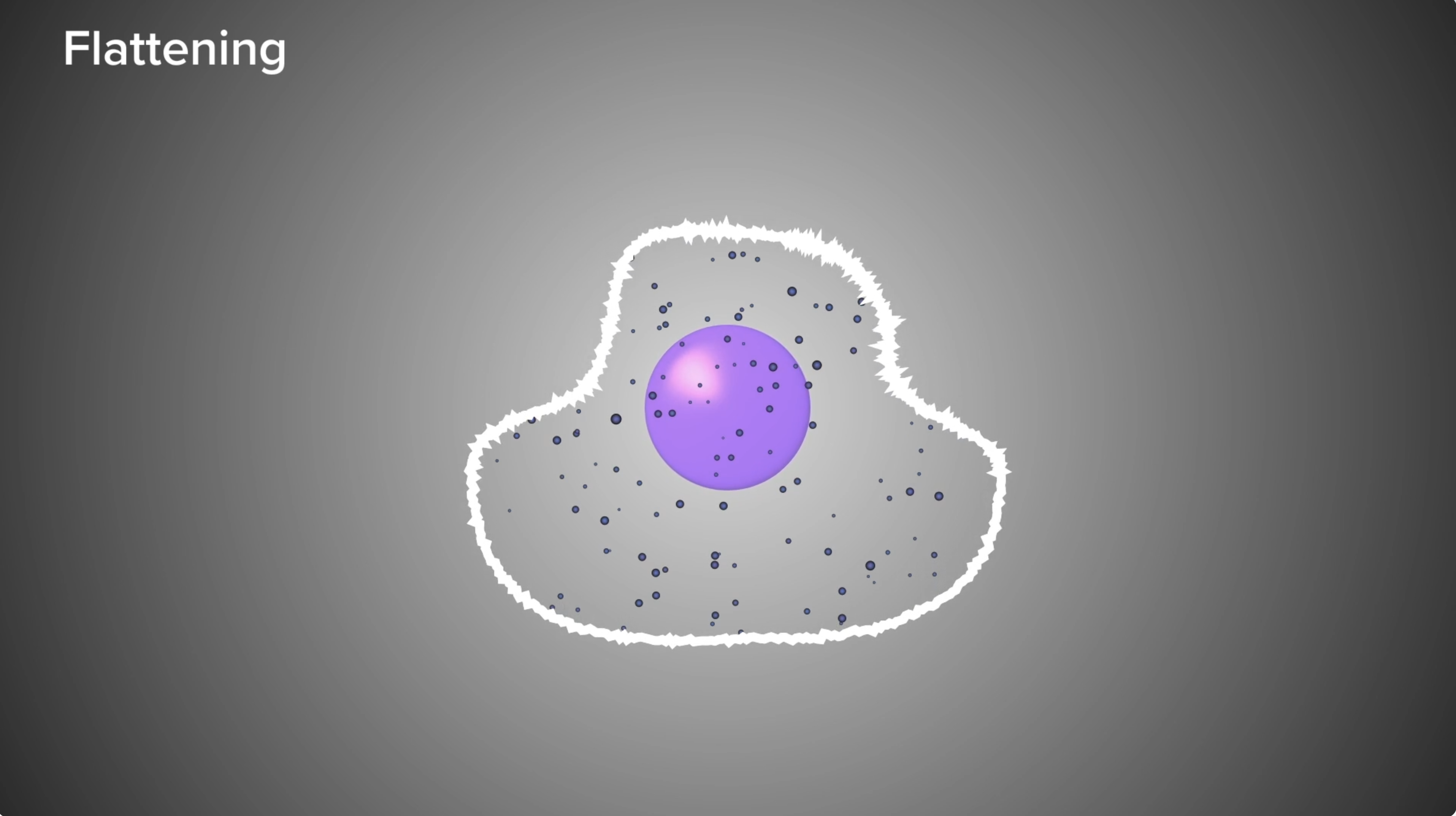 T-Cell animation still — Access Health