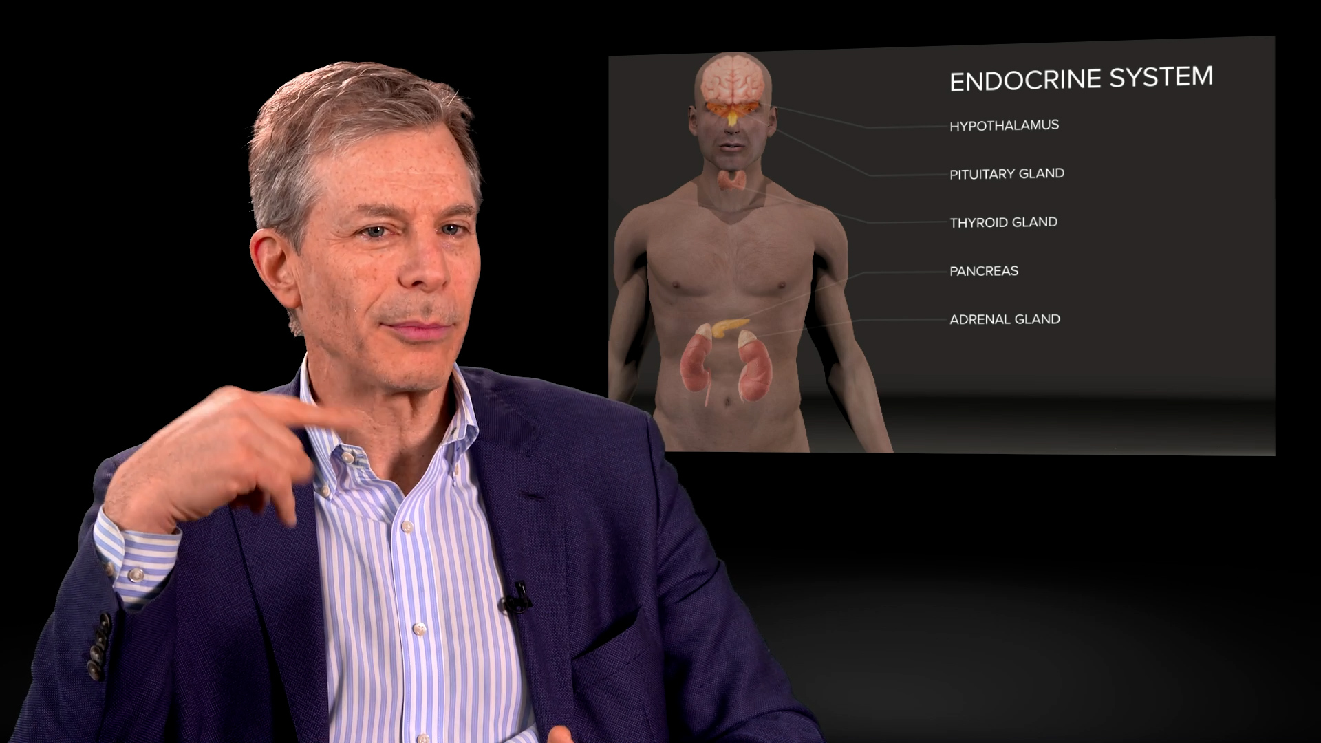 Endocrine system education